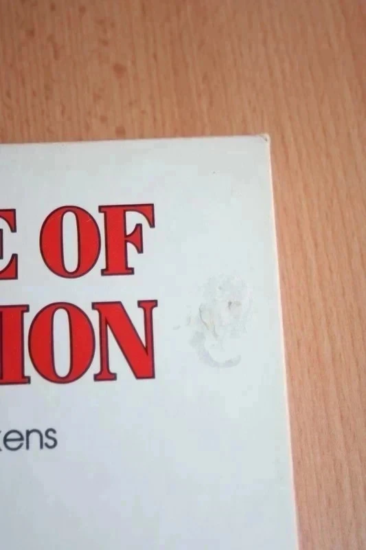 El Valor de la Imaginación: La Historia de Charles Dickens (Inglés) de Spencer John – photo 3